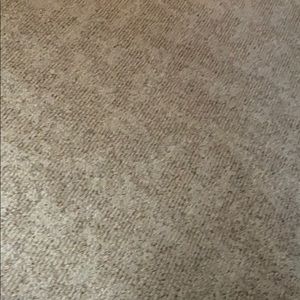 Meet your Posher, Heidi